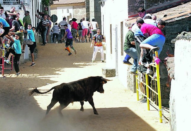 Fiestas Bermillo de Sayago