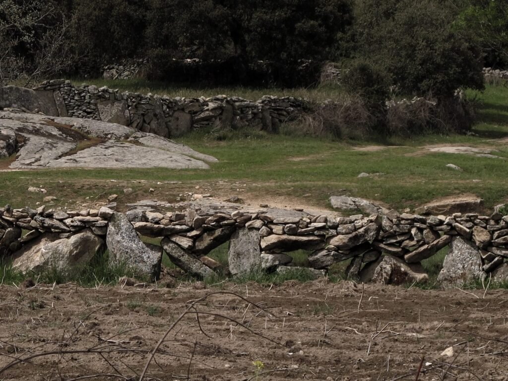 Cortina sayaguesa: prado cercado por un muro de piedra seca de granito