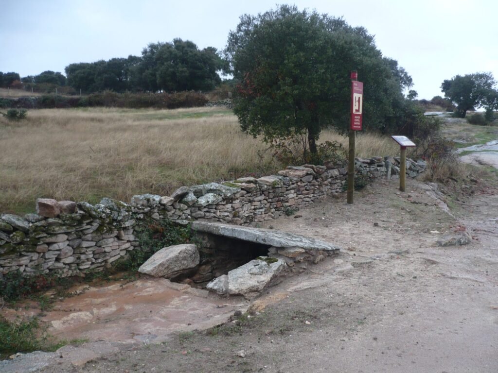 Encina junto a un camino rural cerca de la fuente de la Corbella, en Almeida de Sayago