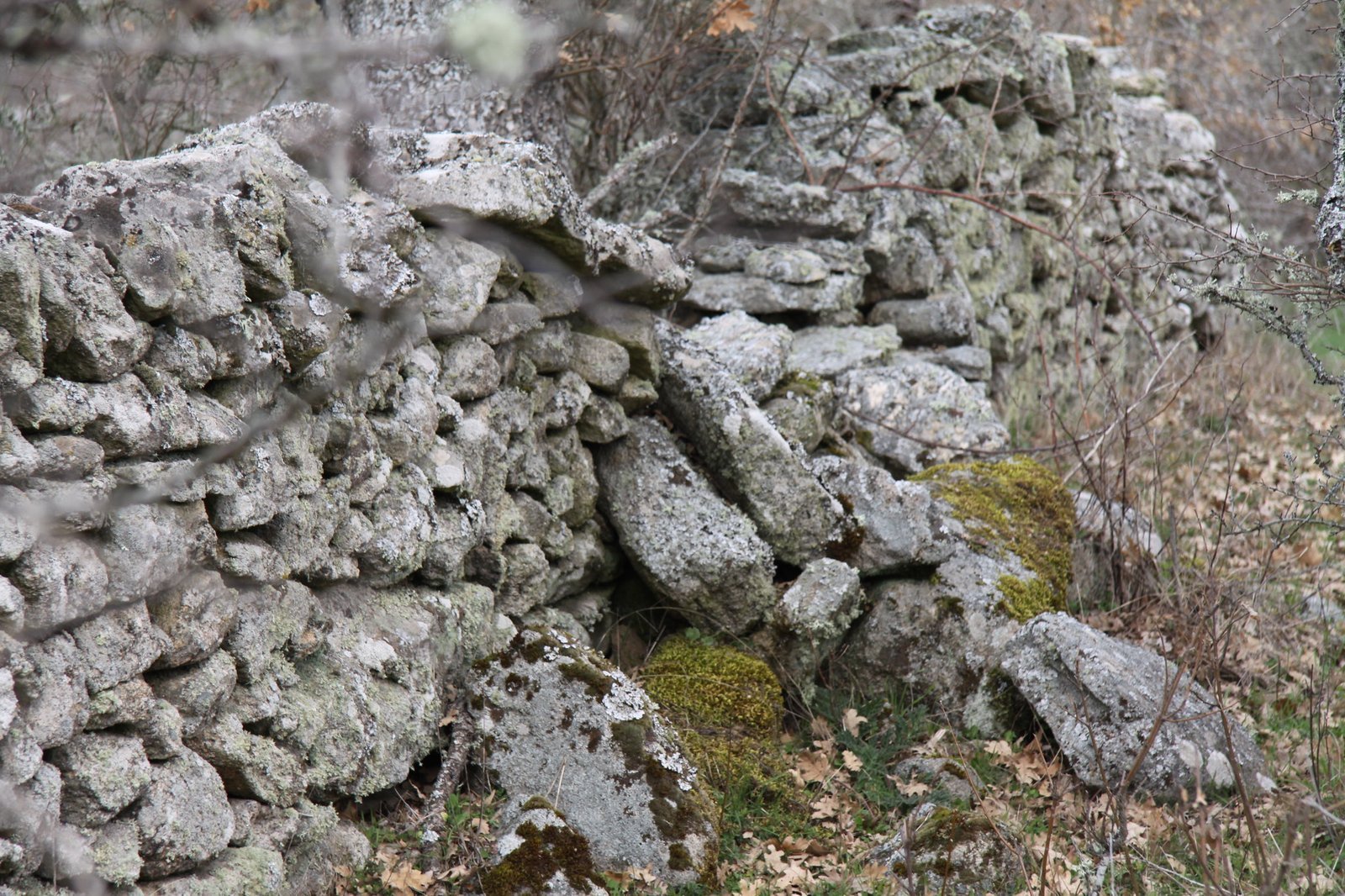 Pared de piedra seca derrumbada en parte, en el campo de Bermillo de Sayago