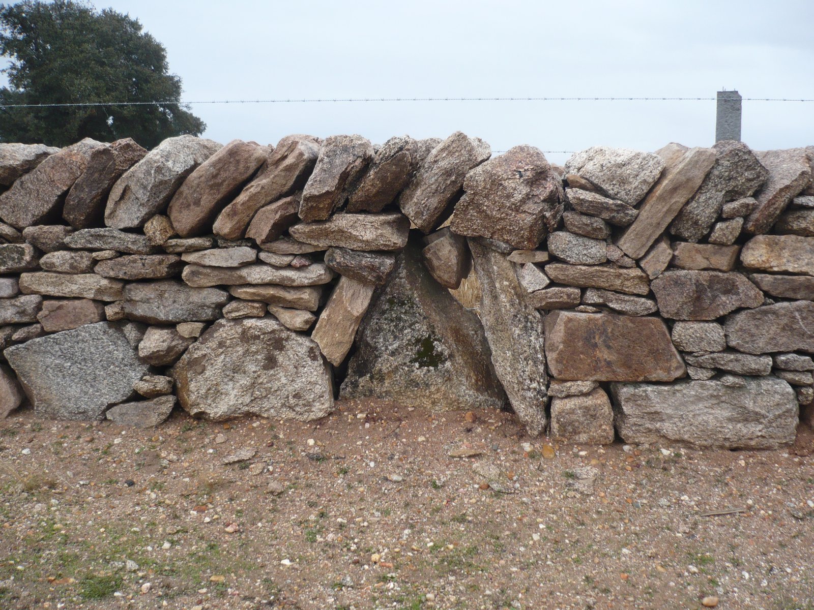 Pared de piedra seca junto al Camino Natural del Paisaje Agrario Sayagués