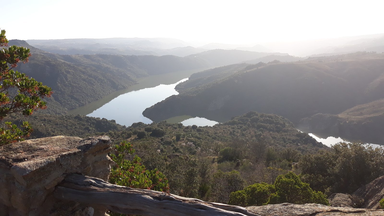 Cañón del río Duero en los Arribes, visto desde Fermoselle