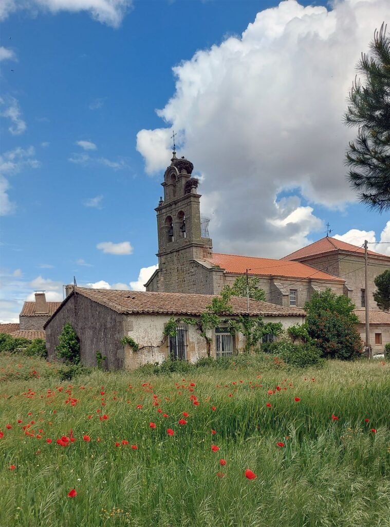 Iglesia de San Miguel Arcángel de Gáname al fondo, tras una casa de piedra y un campo de amapolas en primavera