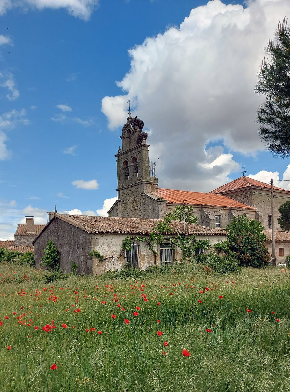 Iglesia de San Miguel Arcángel de Gáname al fondo, tras una casa de piedra y un campo de amapolas en primavera