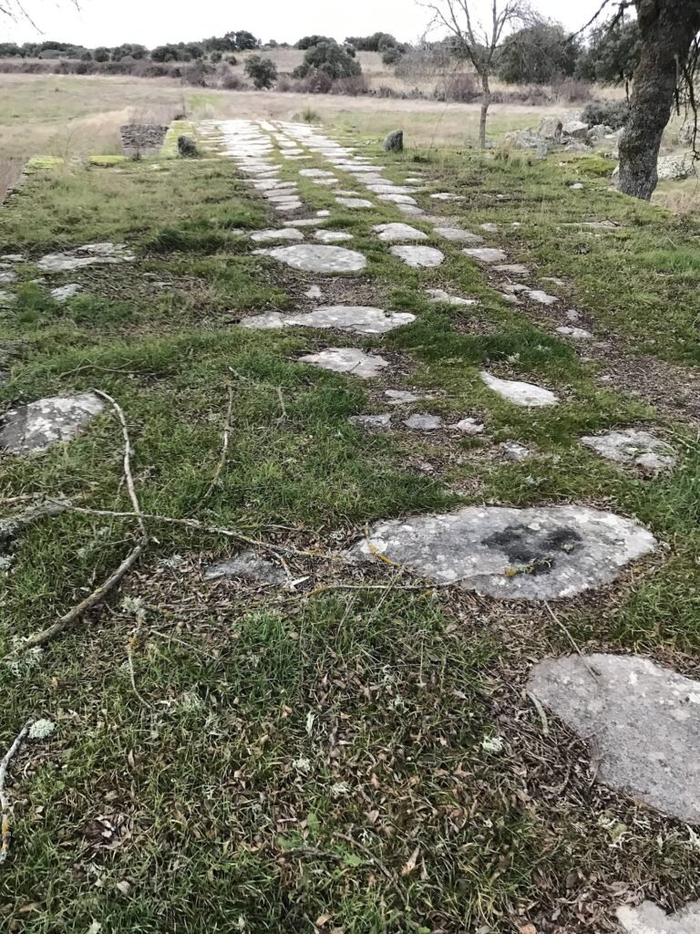 Restos empedrados de la calzada Mirandesa entre la hierba en Sogo