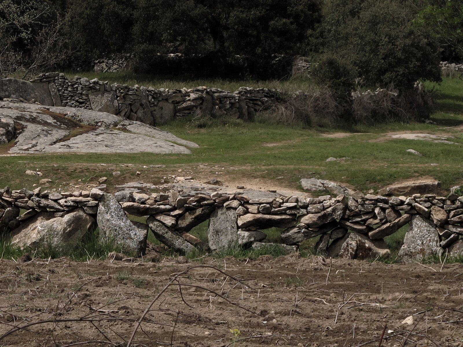 Cortina de piedra con pasto en Sayago