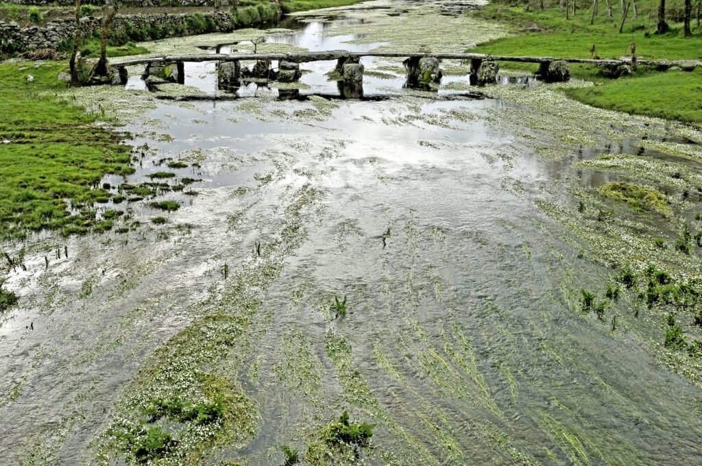 Pontón de losas de granito para cruzar un arroyo en Fariza, Sayago